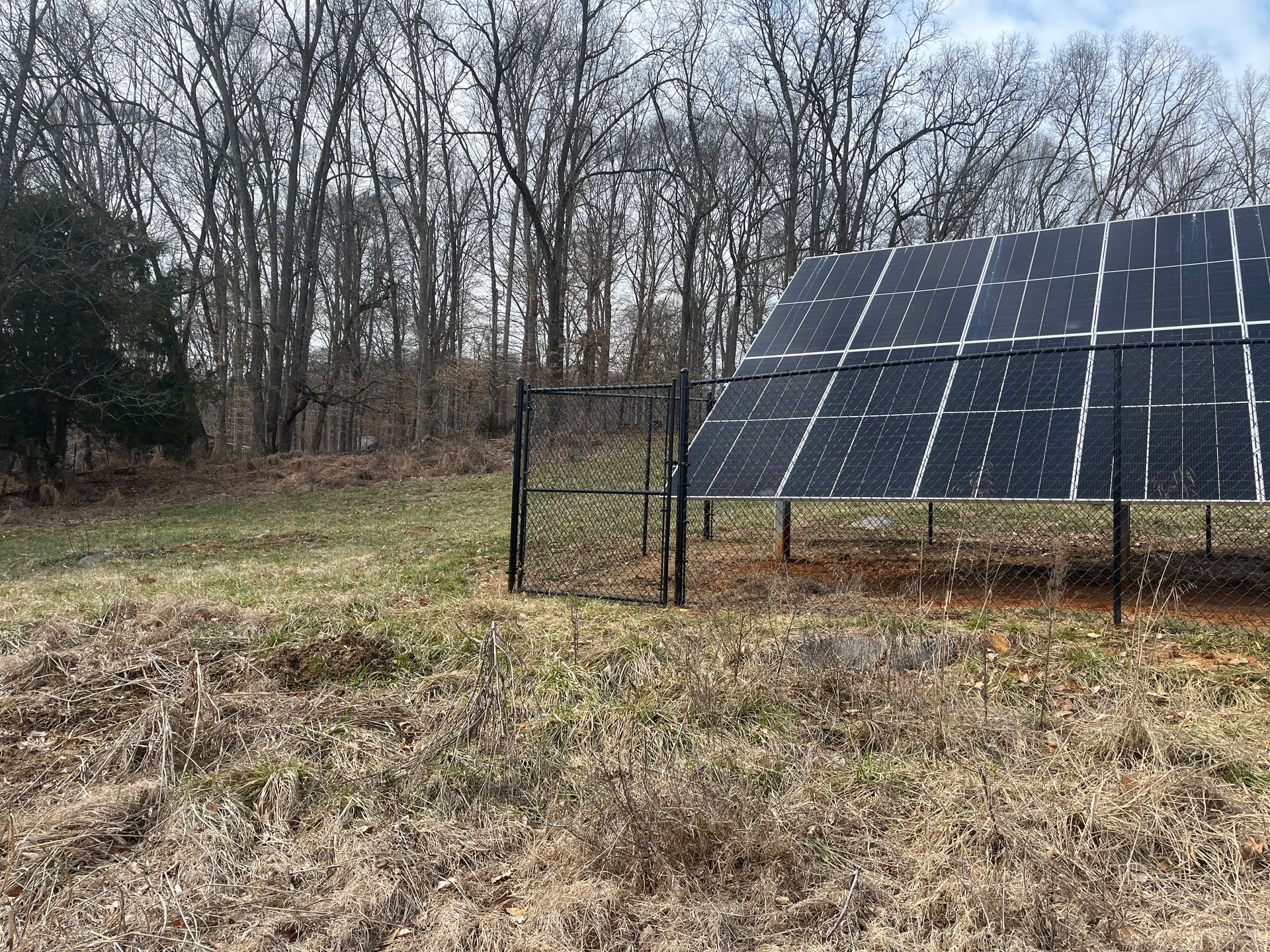 Solar panels mounted on a metal frame stand in a field bordering a forest.