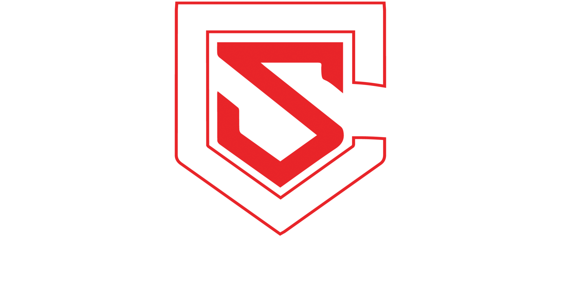 Custom Shields Clear Bra
