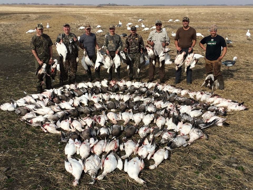 waterfowl hunting guide Saskatchewan