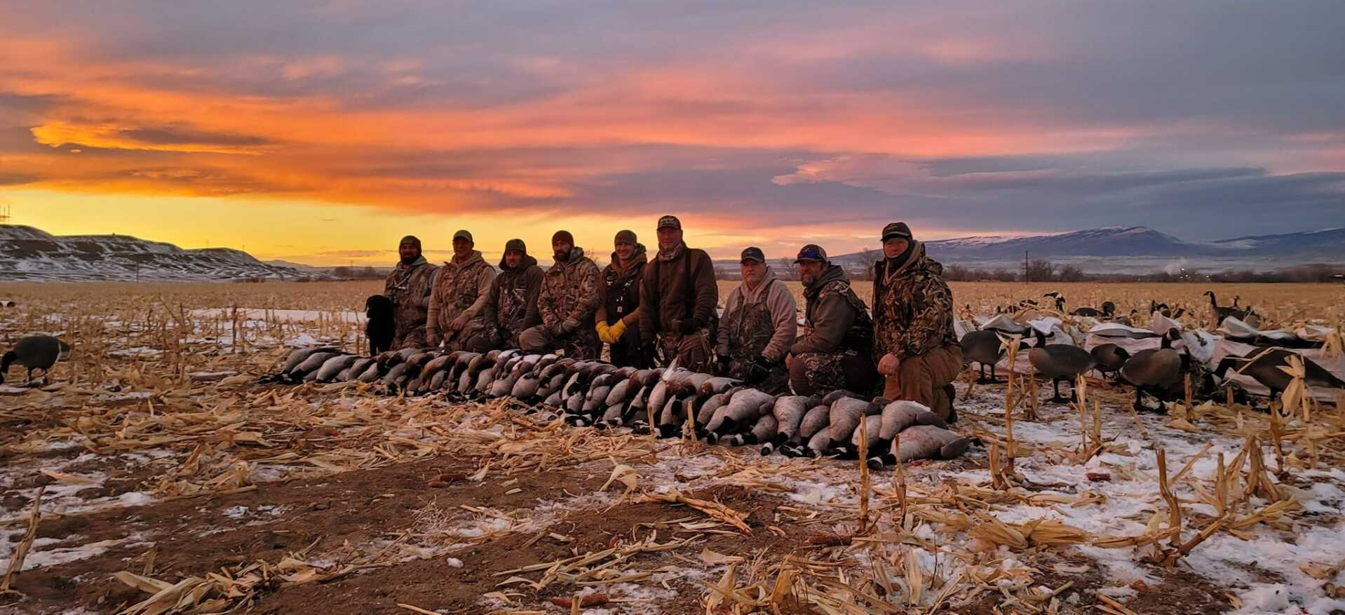 wyoming goose hunting