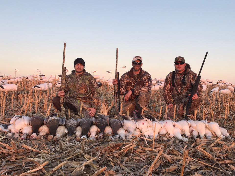 Missouri spring snow goose hunting