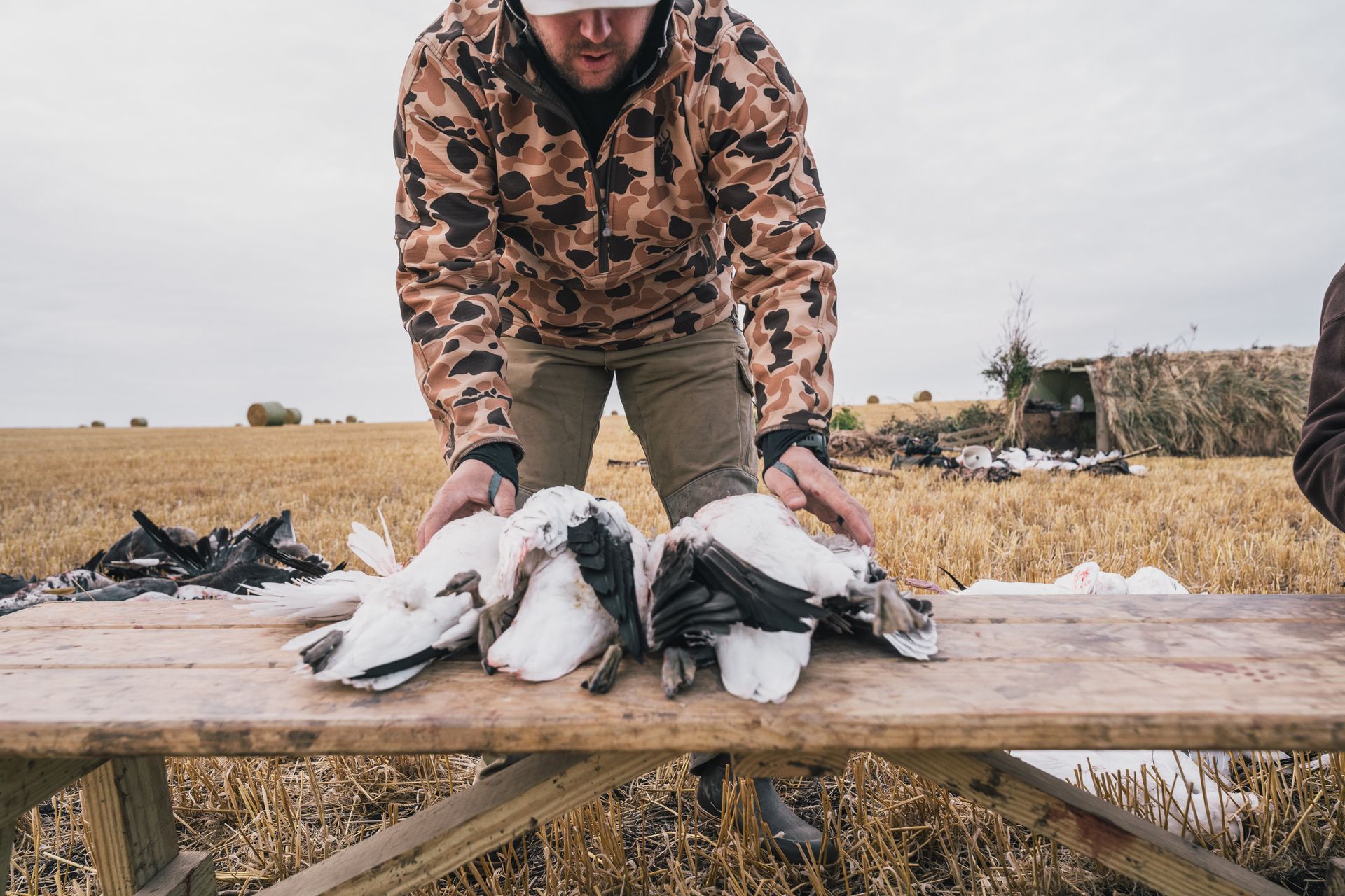 Spring Geese Outfitter Missouri