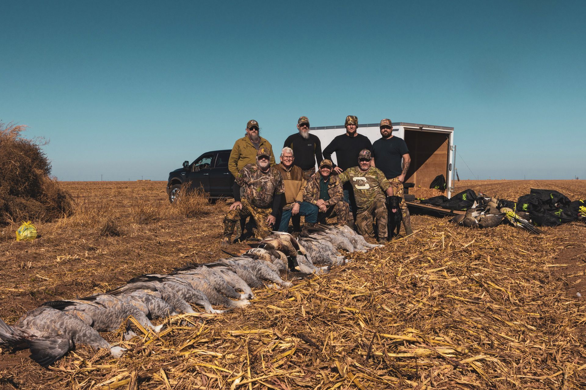 Hunting Cranes