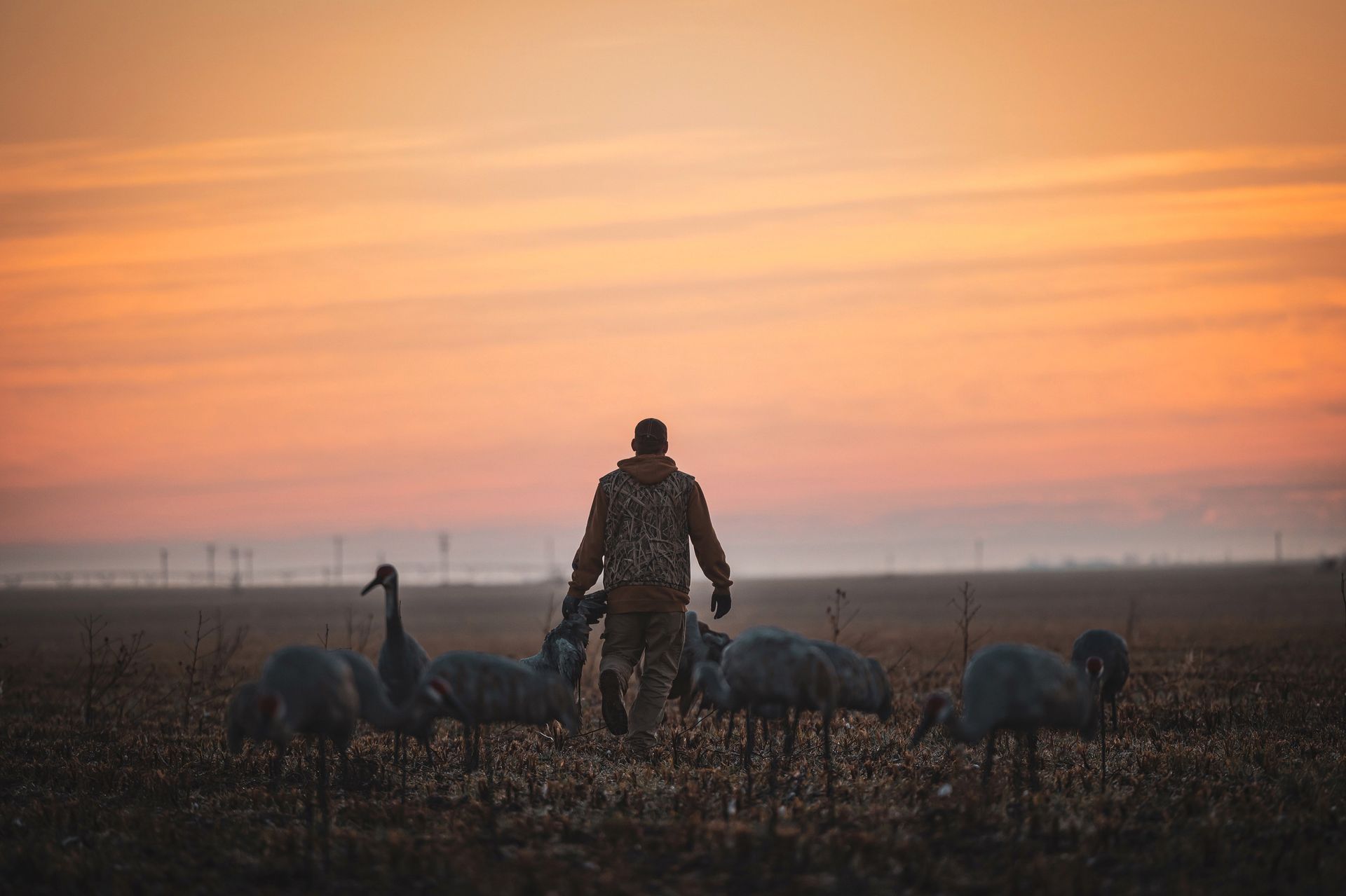 Texas Crane Hunts