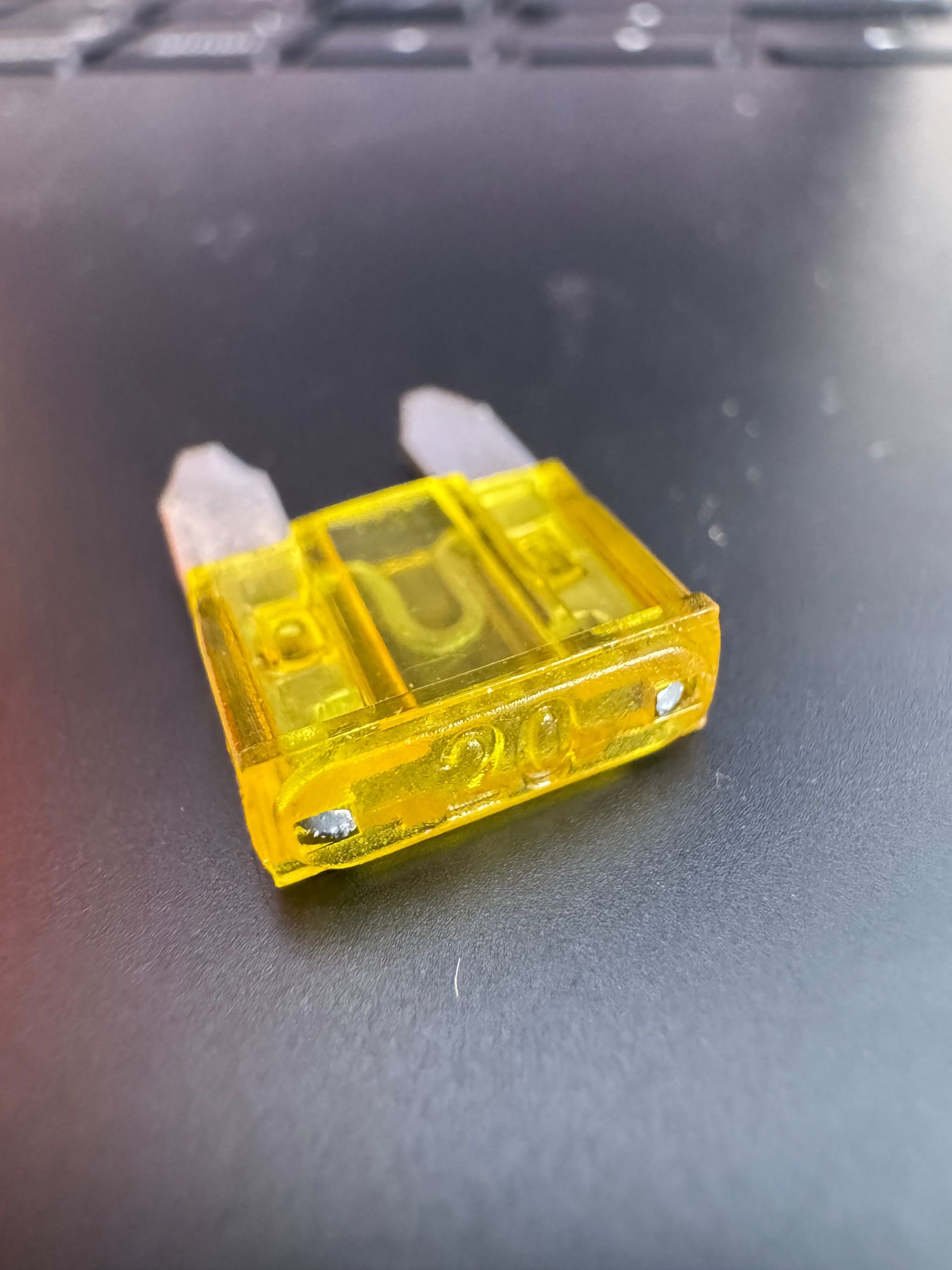 20amp mini blade fuse