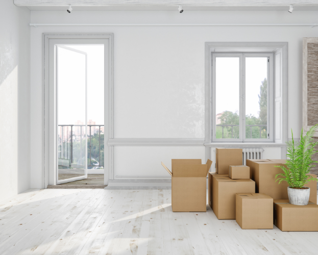 Bright empty room with open balcony door, window, moving boxes, and a potted plant on the floor