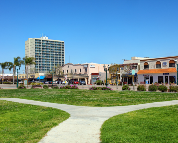 Green park with intersecting paths, palm trees, and waterfront buildings under a blue sky