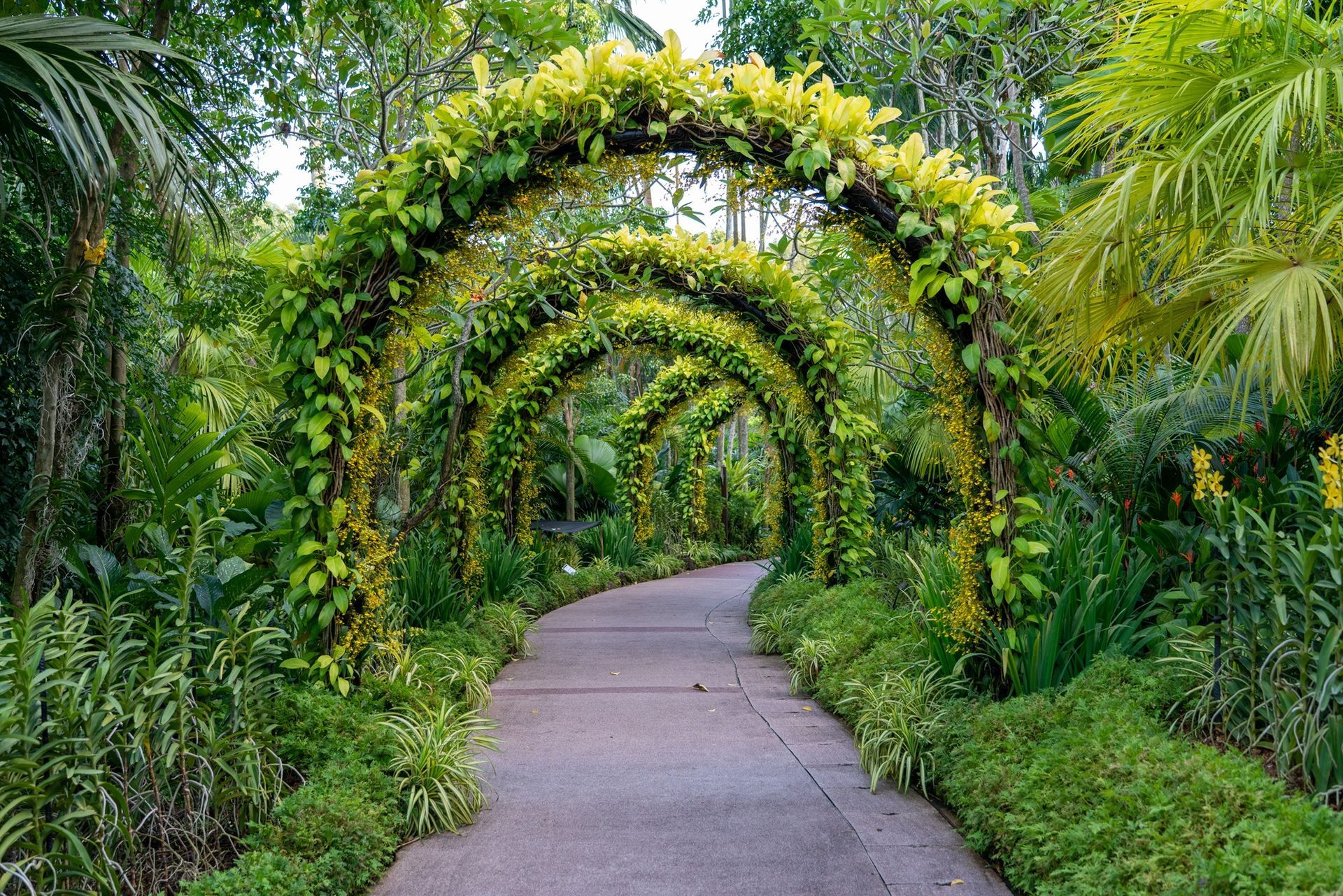 A path in the middle of a lush green forest with arches made of plants.