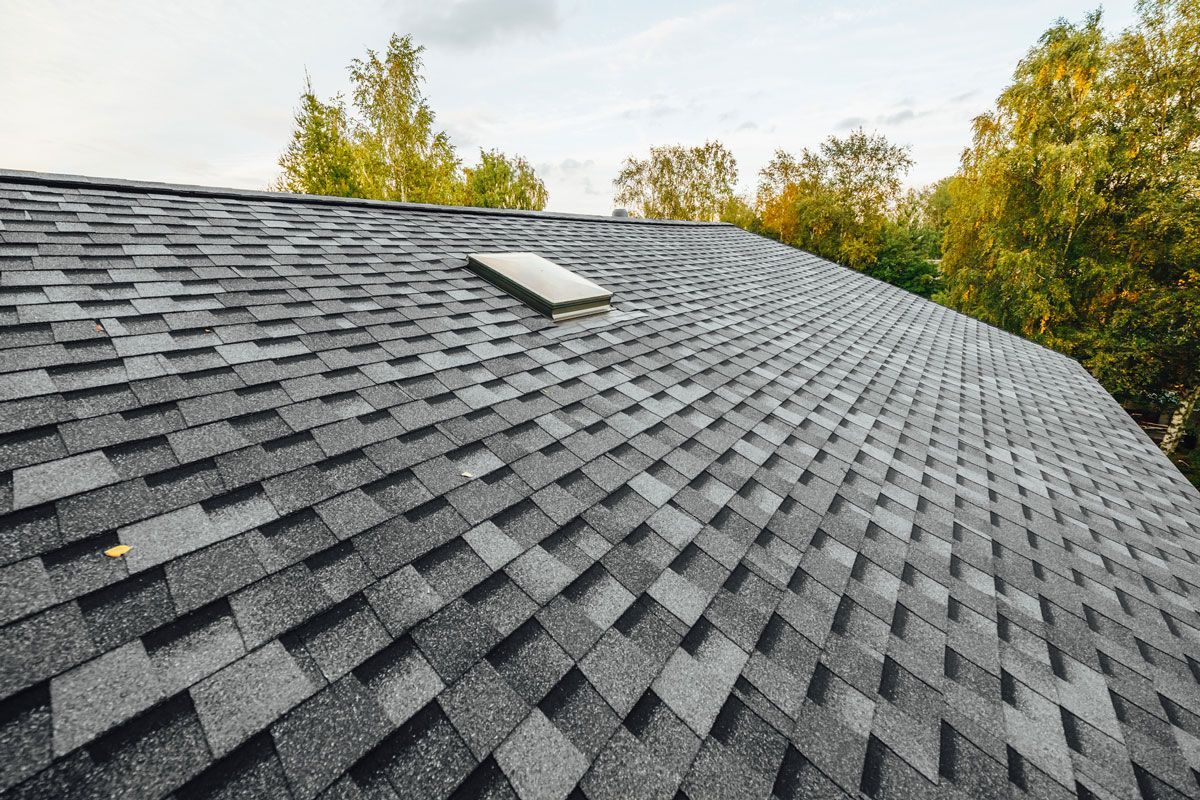 Close-up view of a shingled roof with a small skylight, against a backdrop of trees and a cloudy sky.