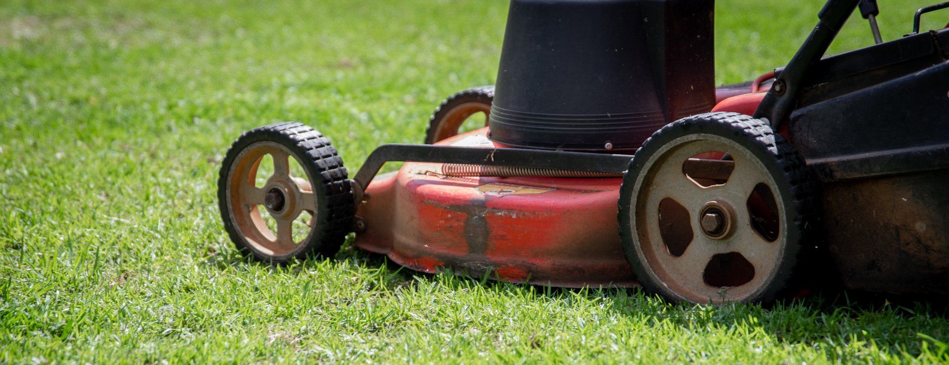 A close-up of a red lawnmower cutting green grass in a sunny setting.