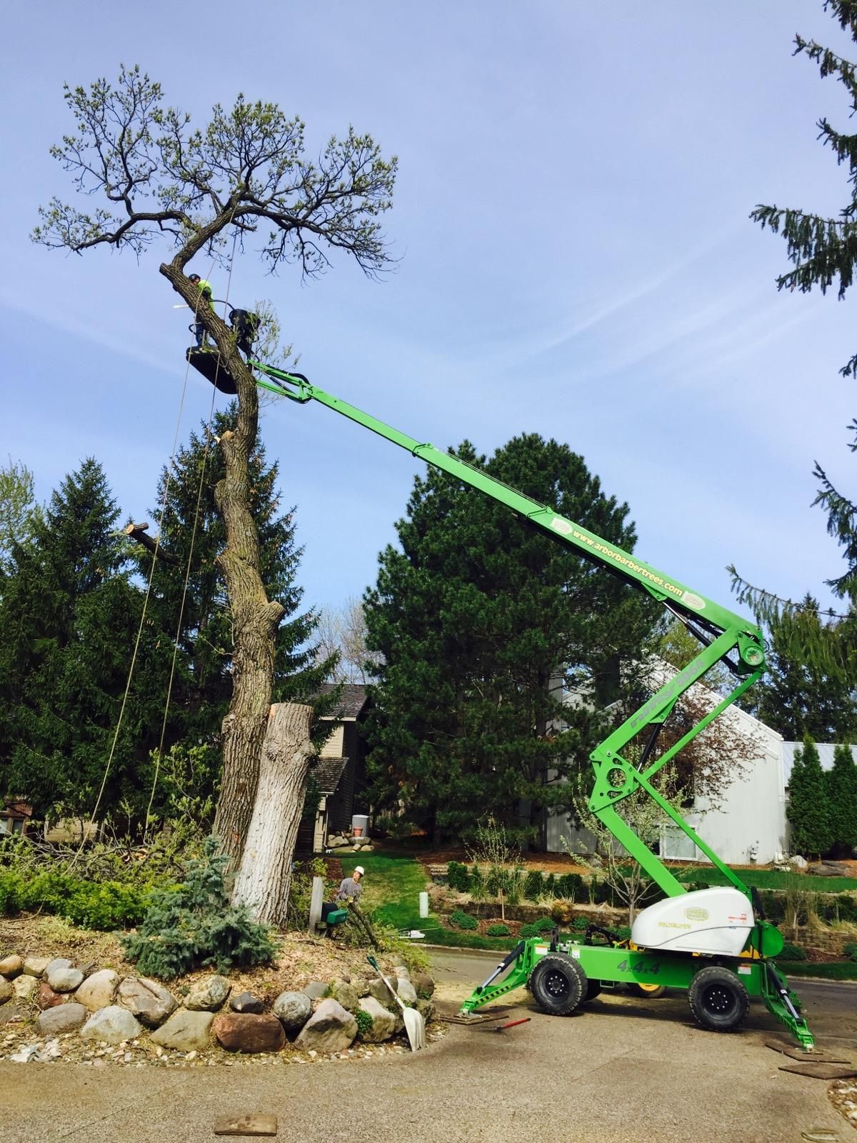 Tree Care Gallery | Arbor Barber Tree Service | Lakeville, MN