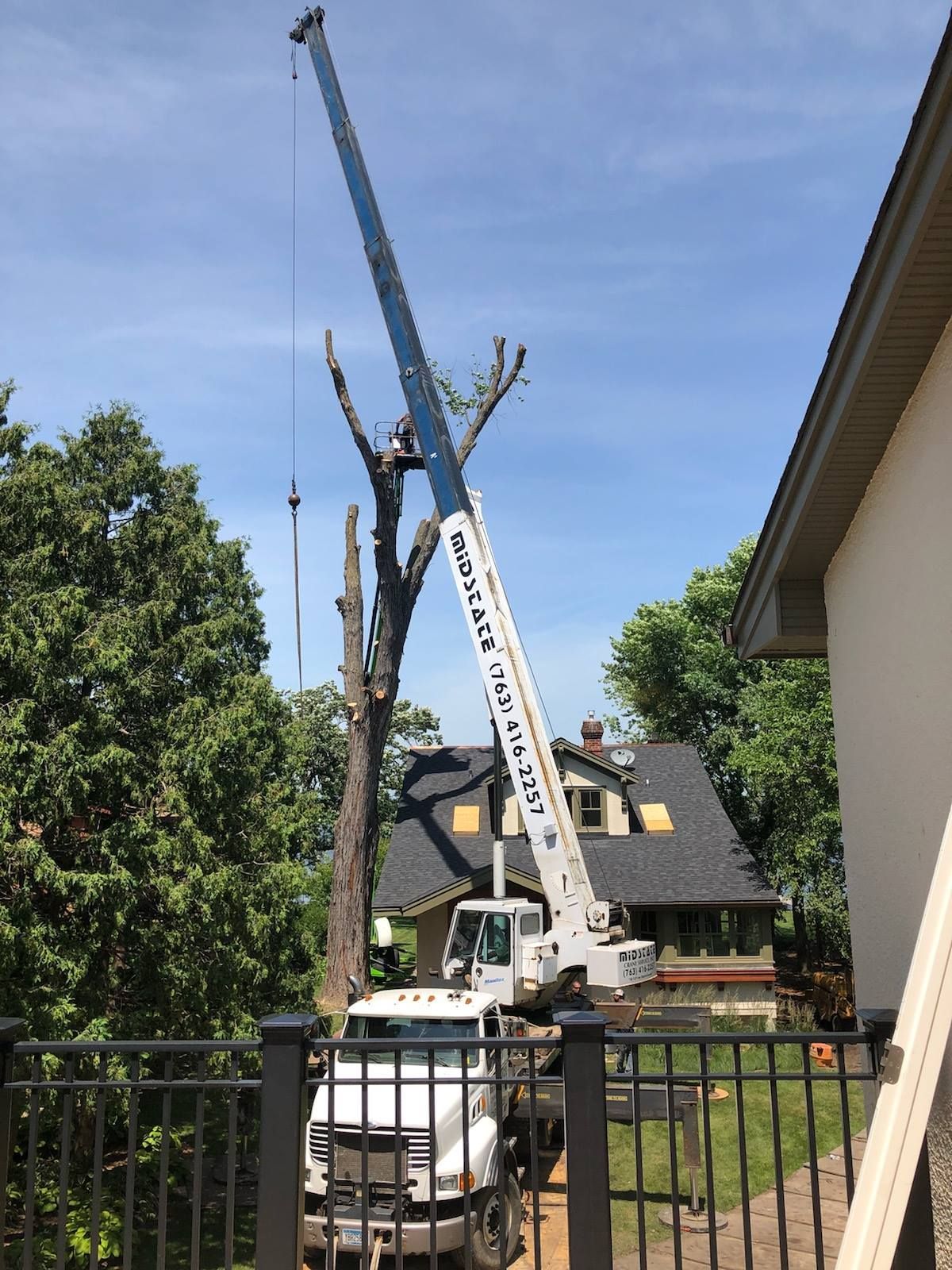 Crane removing a tall tree near a house, blue sky.