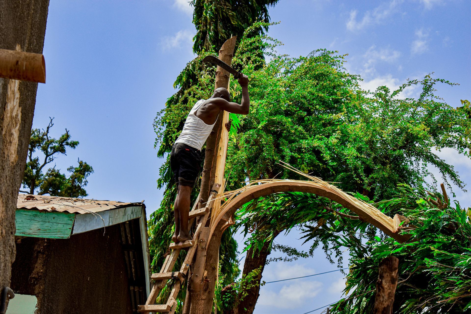 Man climbing a tall wooden structure in a lush green yard under a blue sky
