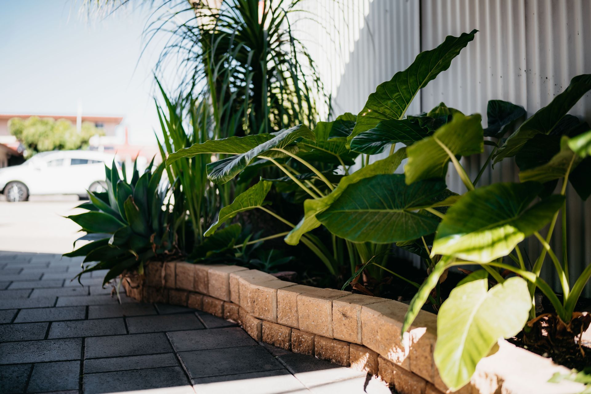 Pet-Friendly Motels in Port Augusta

