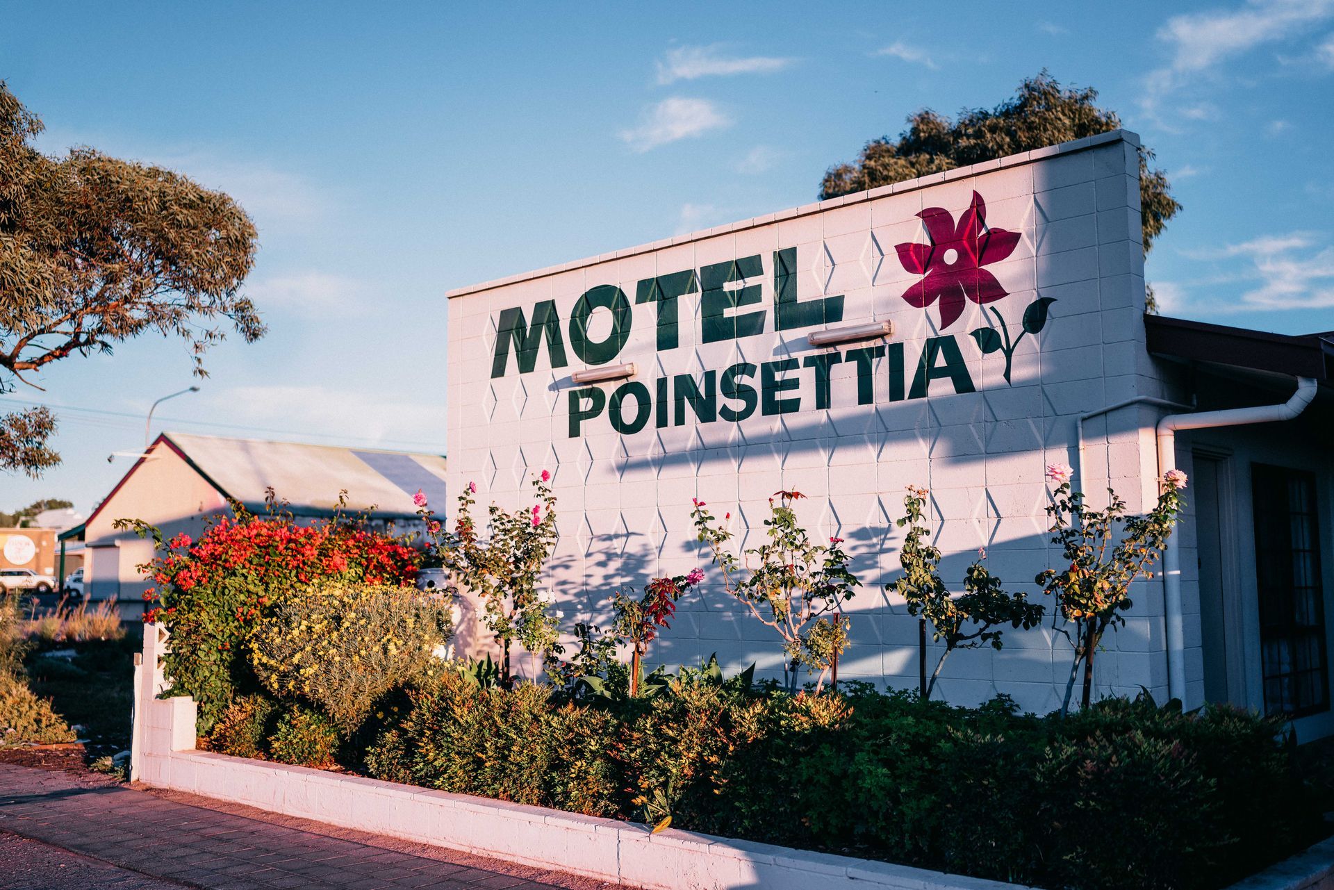 comfort of Motel Poinsettia
