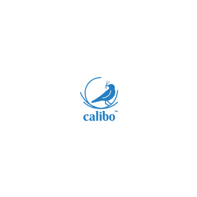 Blue bird logo with the word 