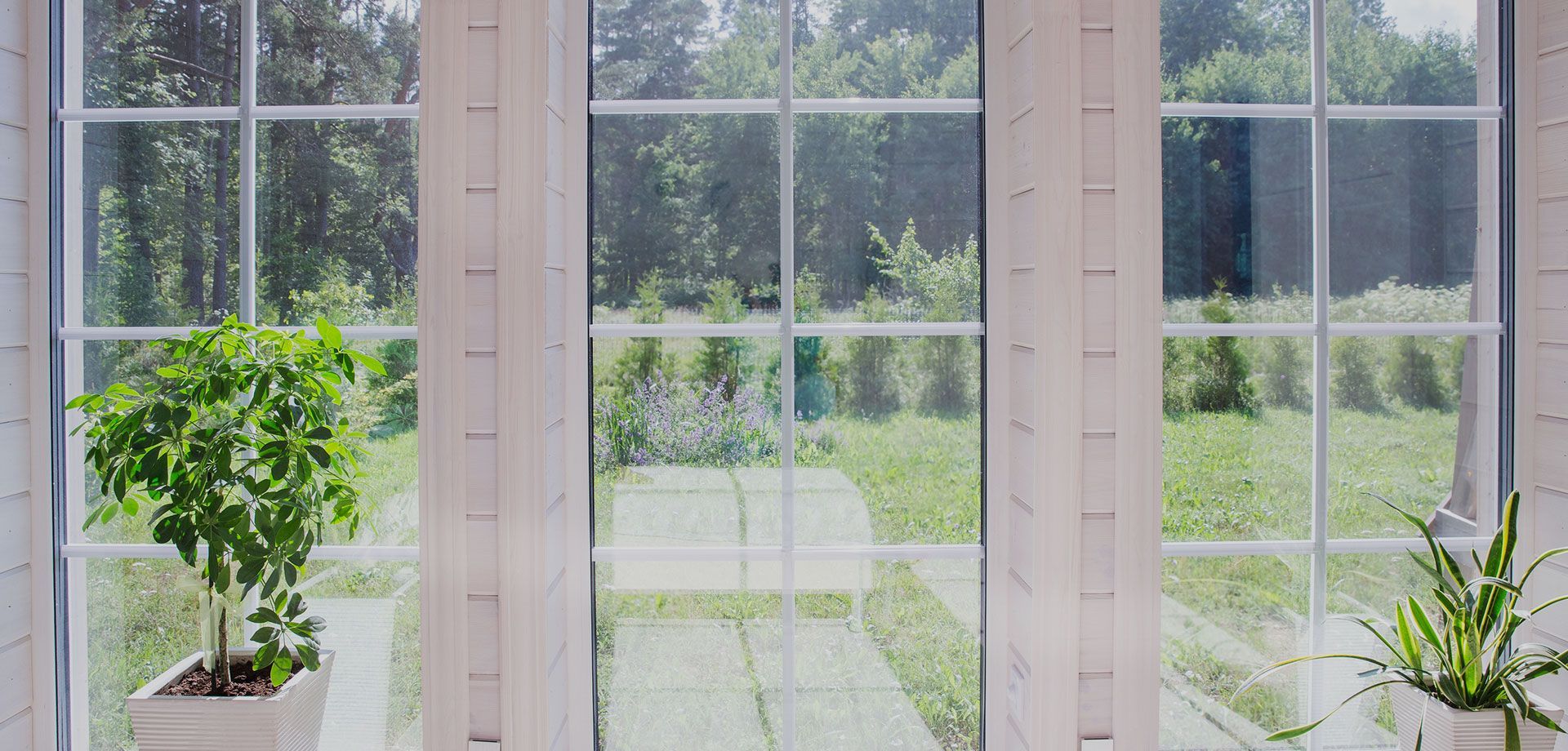A potted plant is sitting in front of a large window.