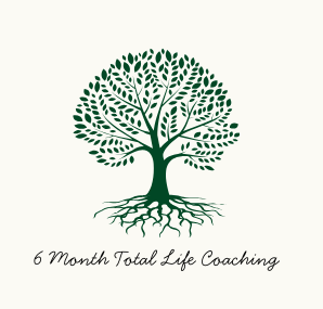 6 Month Total Life Coaching (email for wait list)