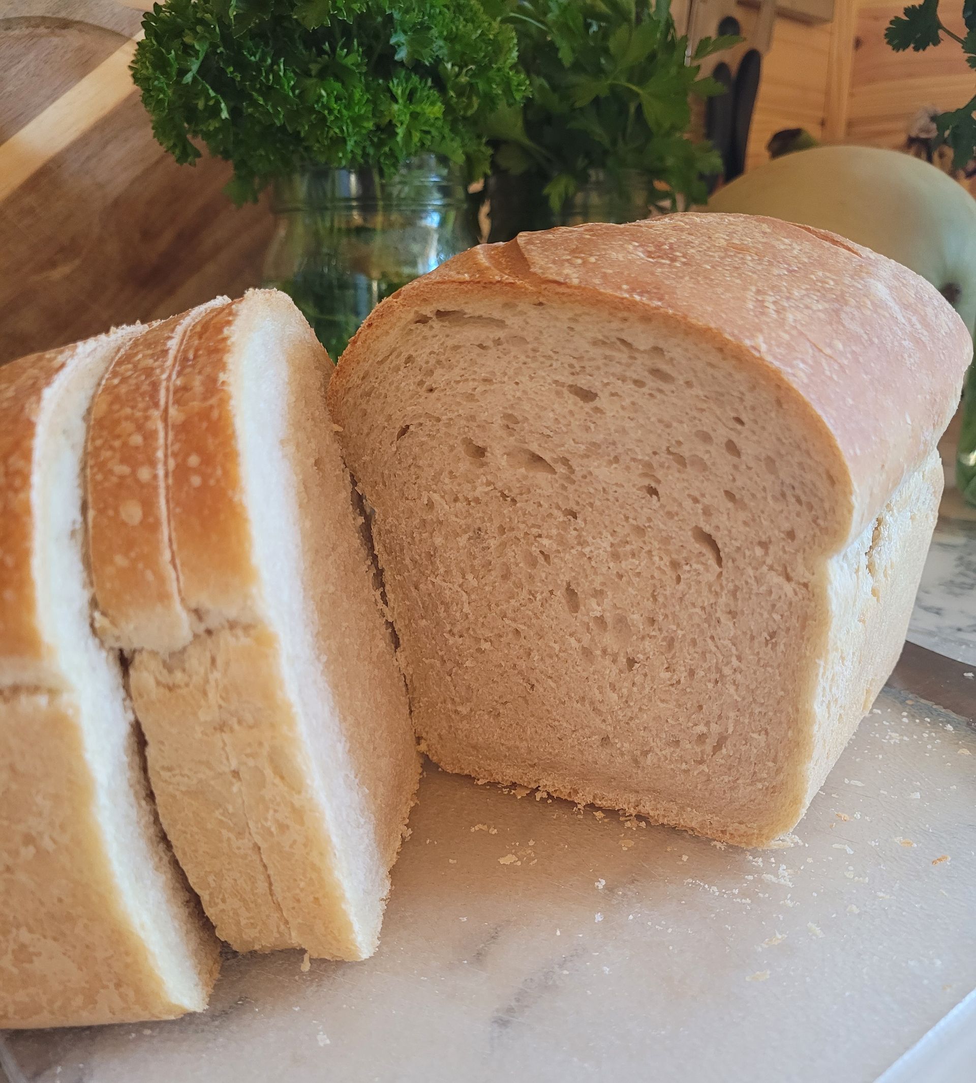 BOOK! As Simple As Sourdough PRESALE