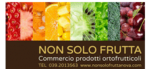 Non Solo Frutta Logo