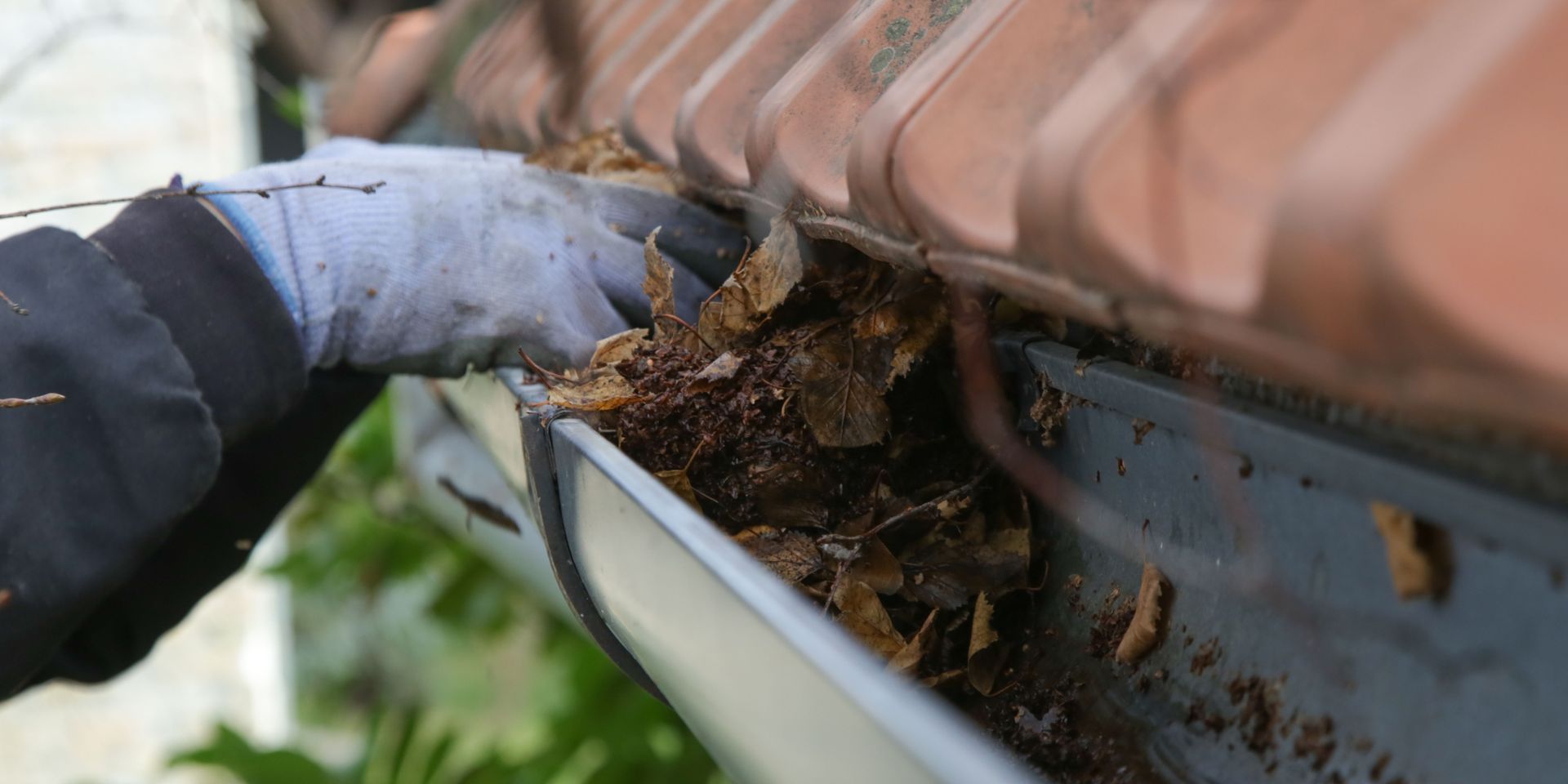 A gloved hand cleans debris from a rain gutter. The gutter is full of leaves and dirt.
