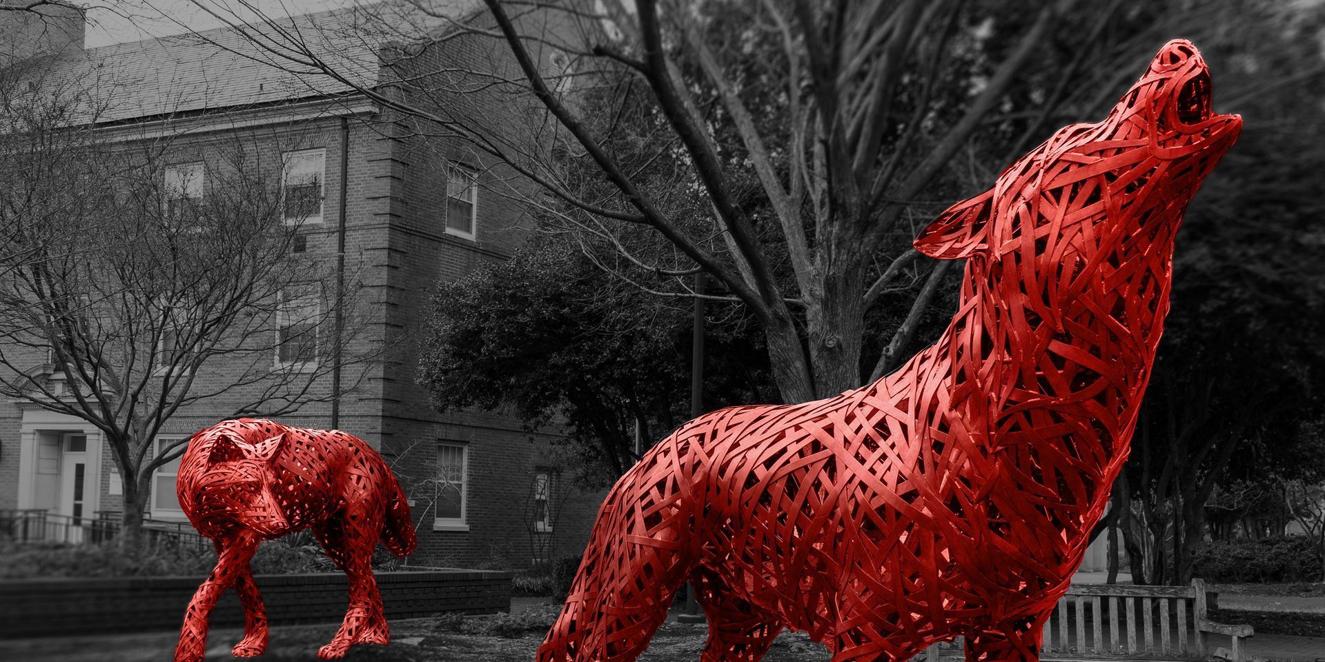 One Pack NIL Launches as the Official Collective of NC State Student-Athletes