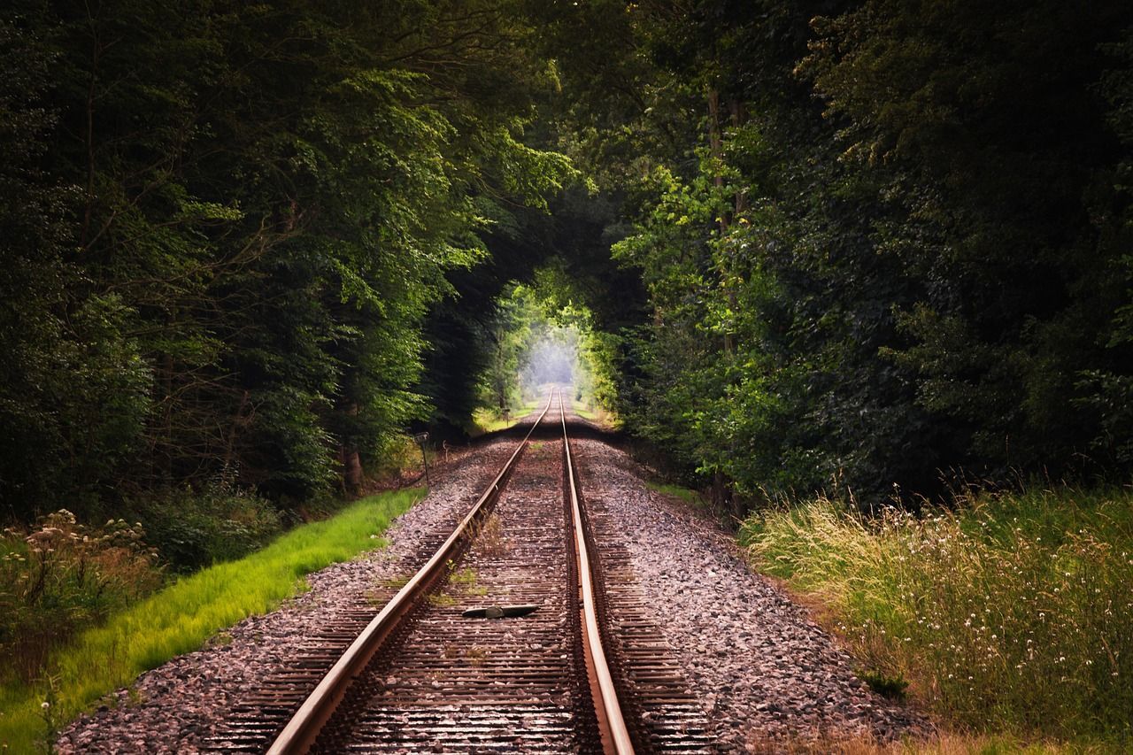 Een treinspoor dat door een tunnel met bomen gaat.