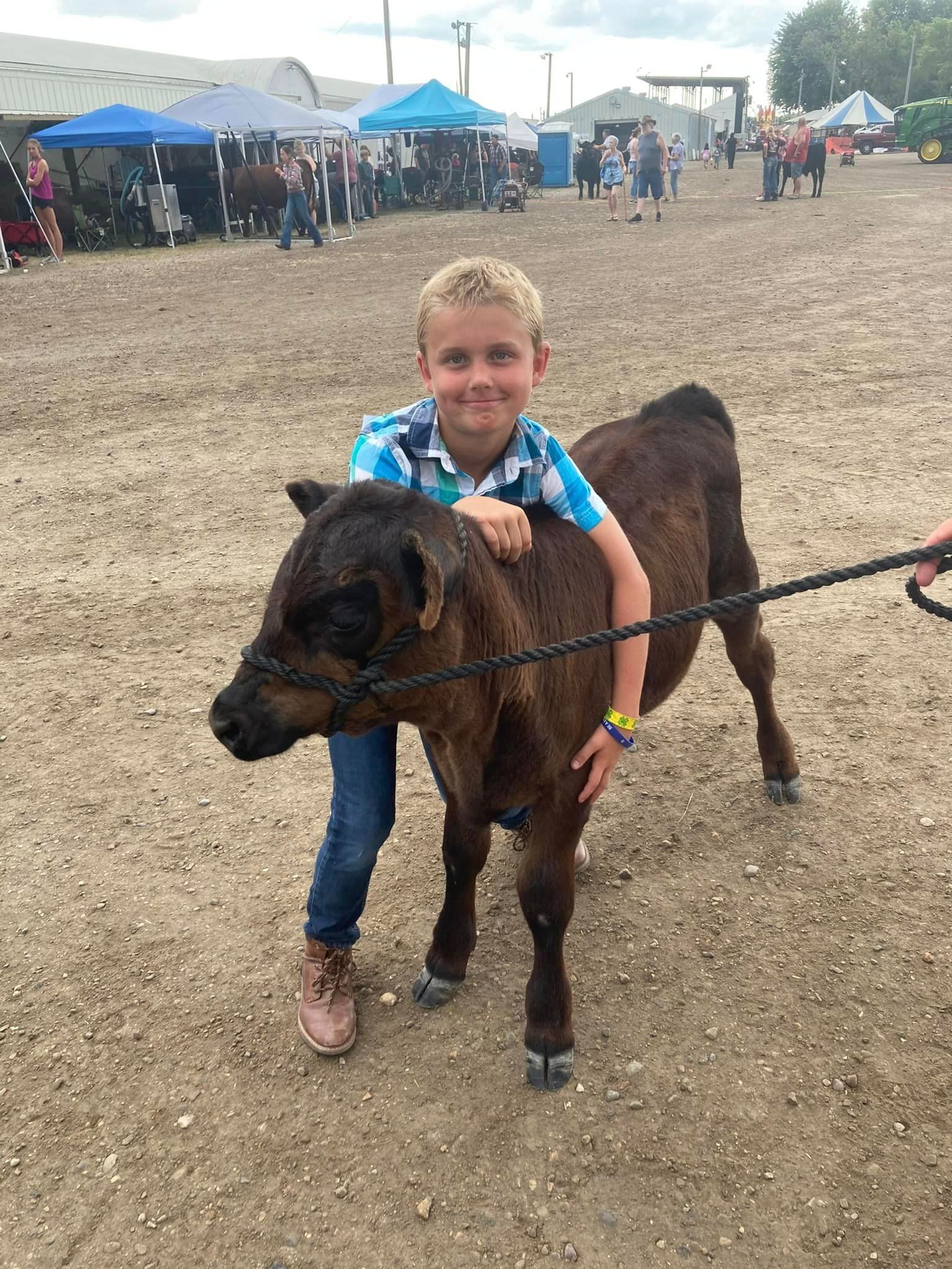A child hugs a brown calf on a lead rope at an outdoor fairground with tents and people in the background.