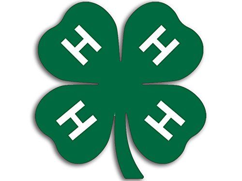 A green four-leaf clover emblem with a white letter 