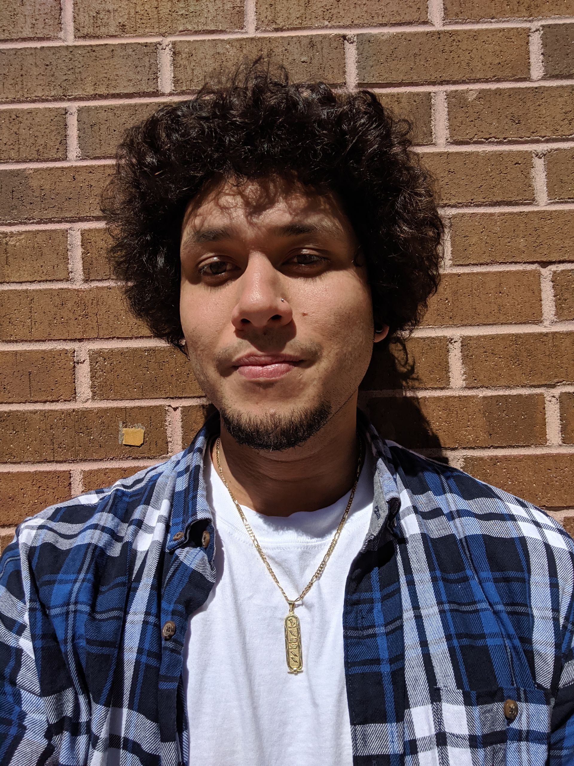 Person with curly hair wearing a blue plaid shirt and gold necklaces, standing in front of a brick wall.