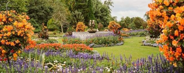 A colorful garden with vibrant orange and purple flowers, a green lawn, and a stone fountain.