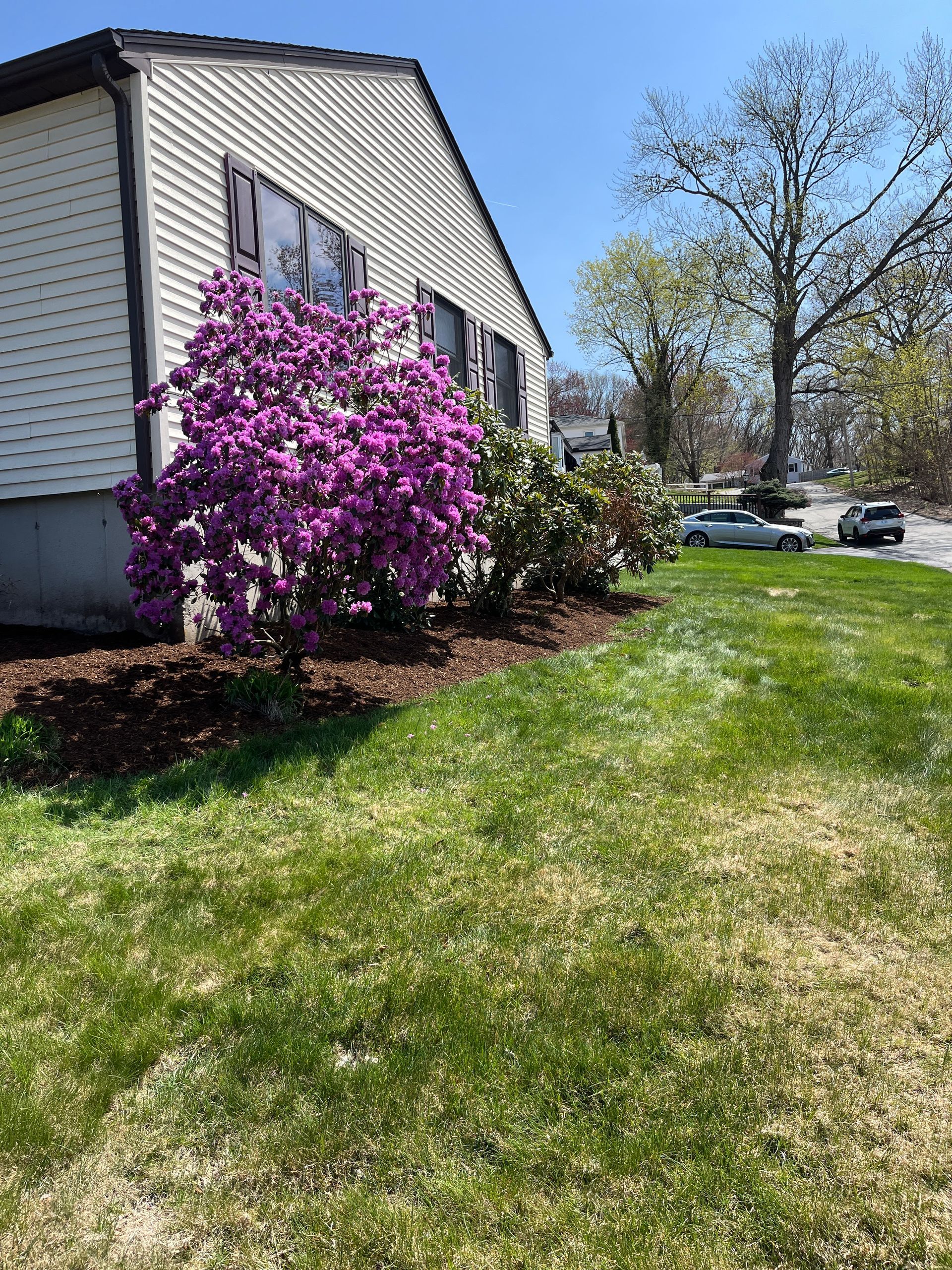 A white house with purple flowers in front of it.