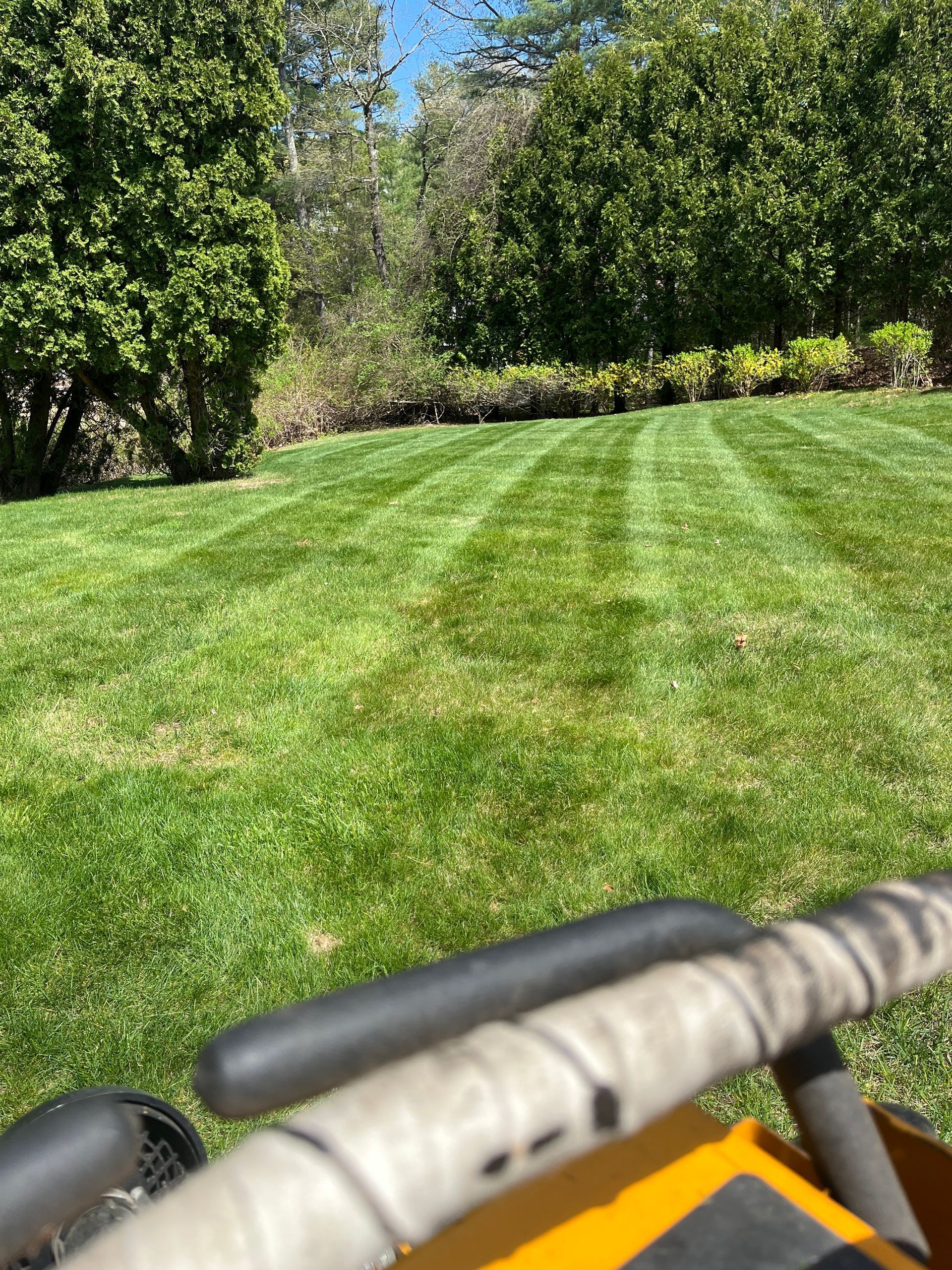 A lawn mower is cutting a lush green lawn.