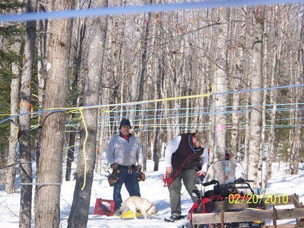 Two people installing tubing in a snowy forest. A dog stands nearby. The date on the photo is 02/20/2010.