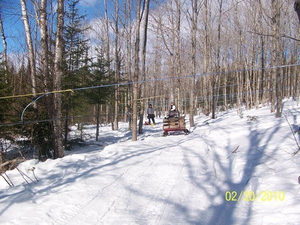 Snowy forest scene with a cart on tracks, possibly for maple syrup collection.