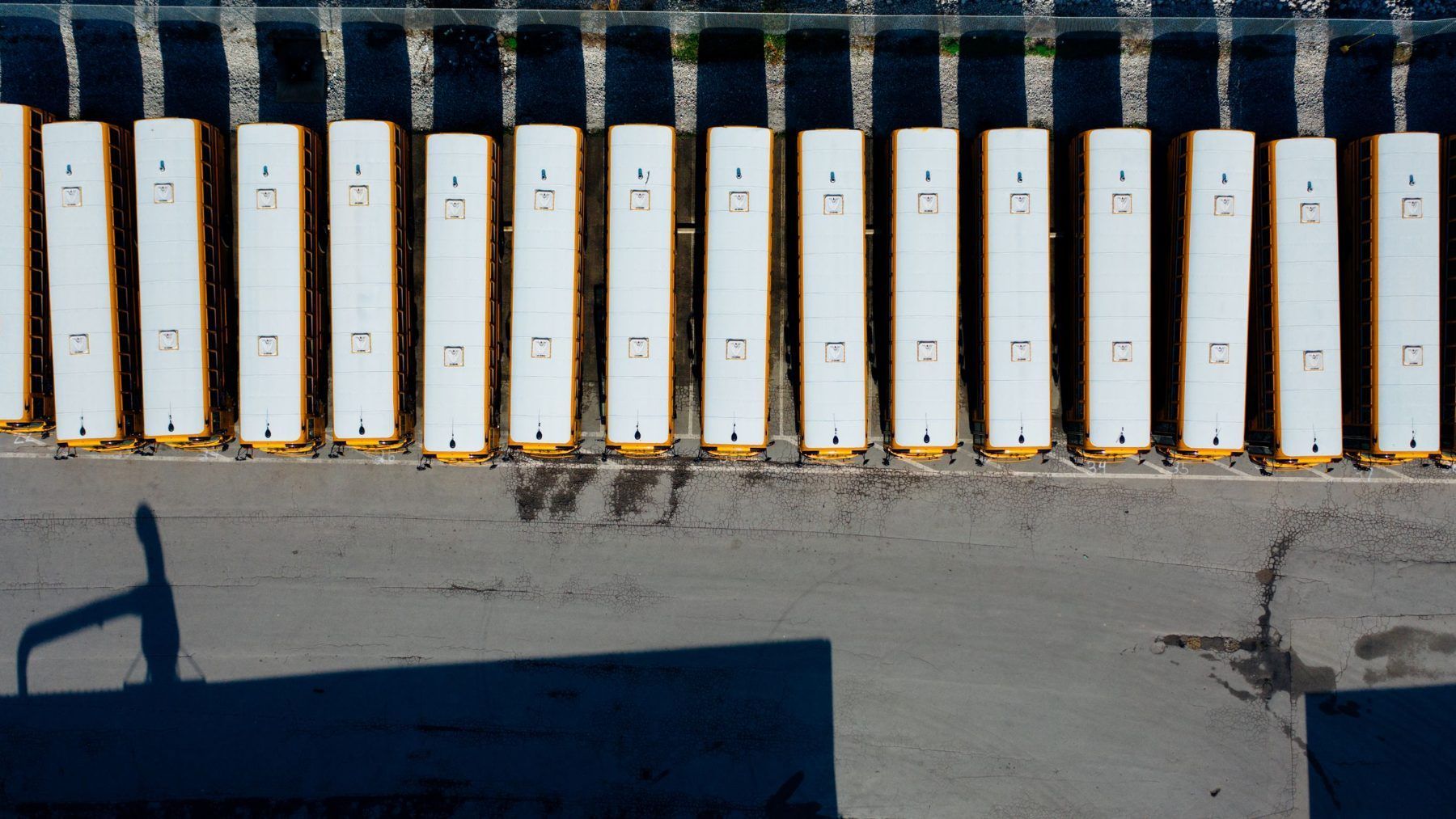 A row of identical company trailers parked in a yard