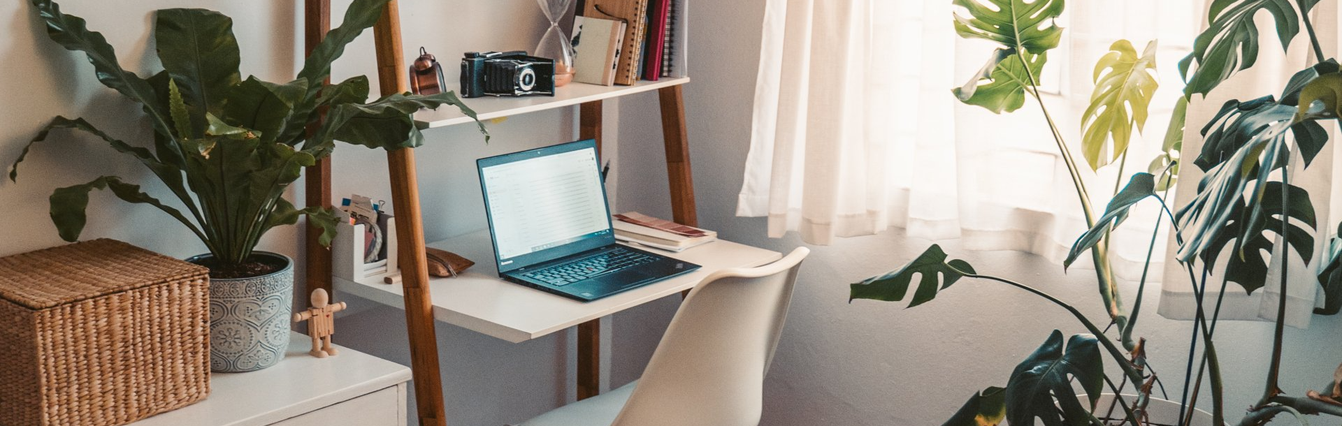 Desk With House Plants