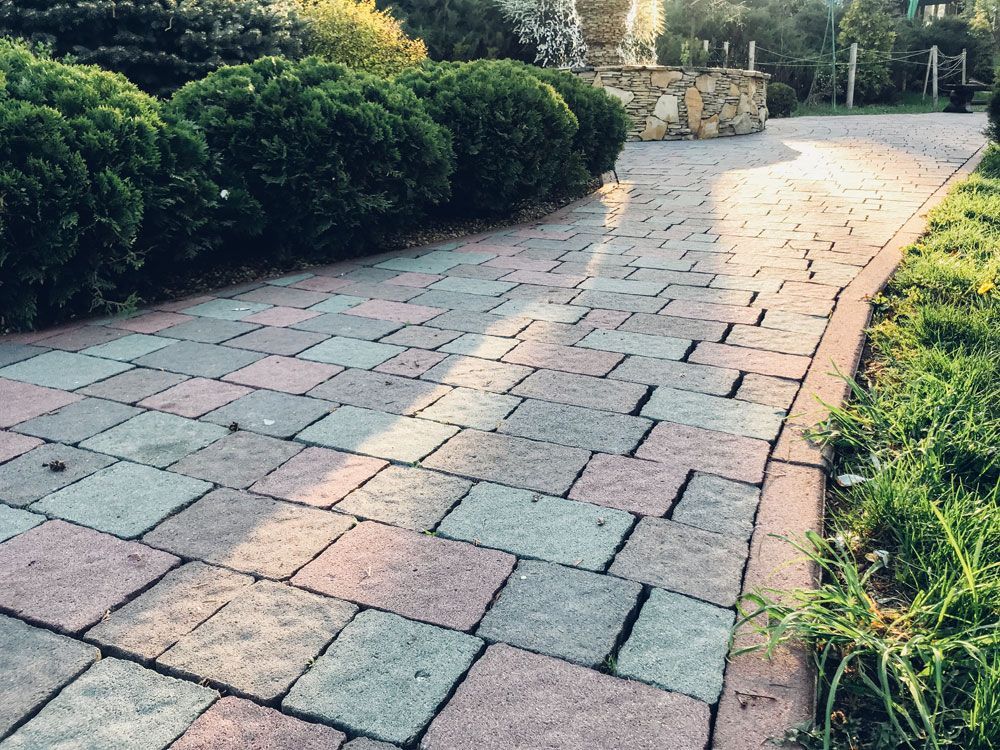Garden brick pavers and evergreen tile plants and shrubs