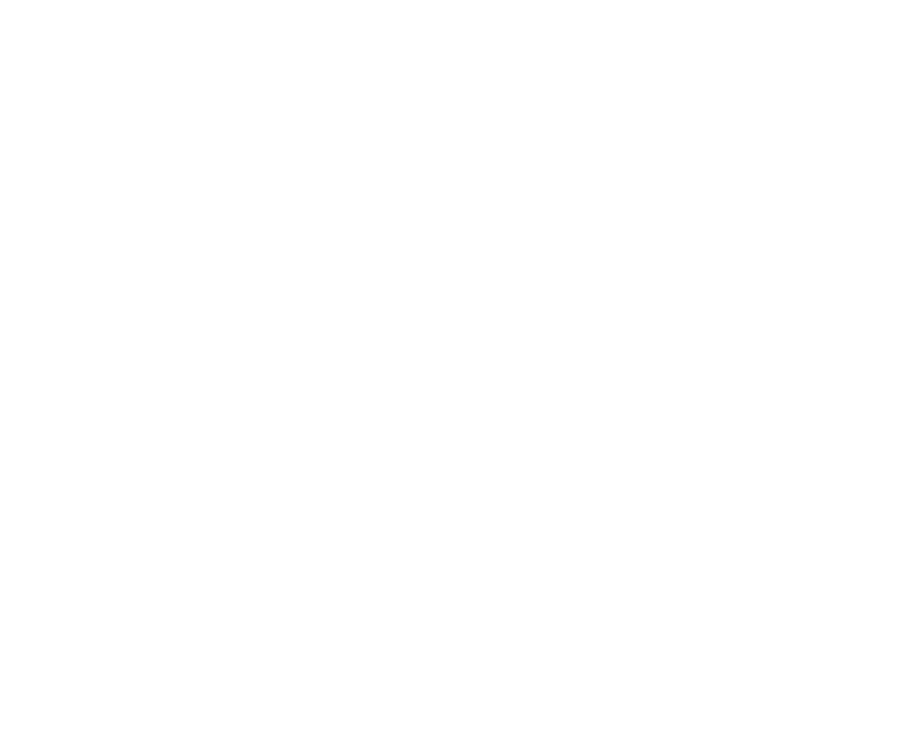 Braunvieh Association of America logo