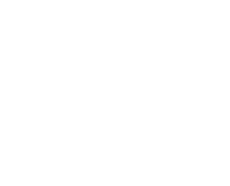 Braunvieh Association of America logo