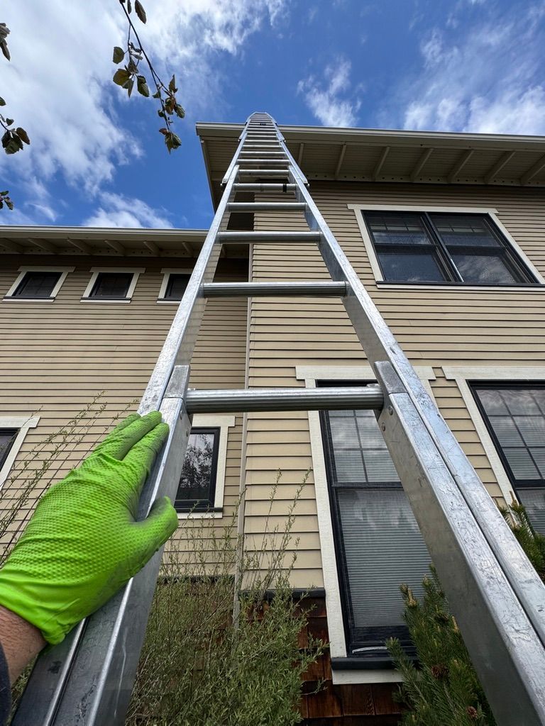 Person in green gloves holding a ladder up to a house roof under a blue sky