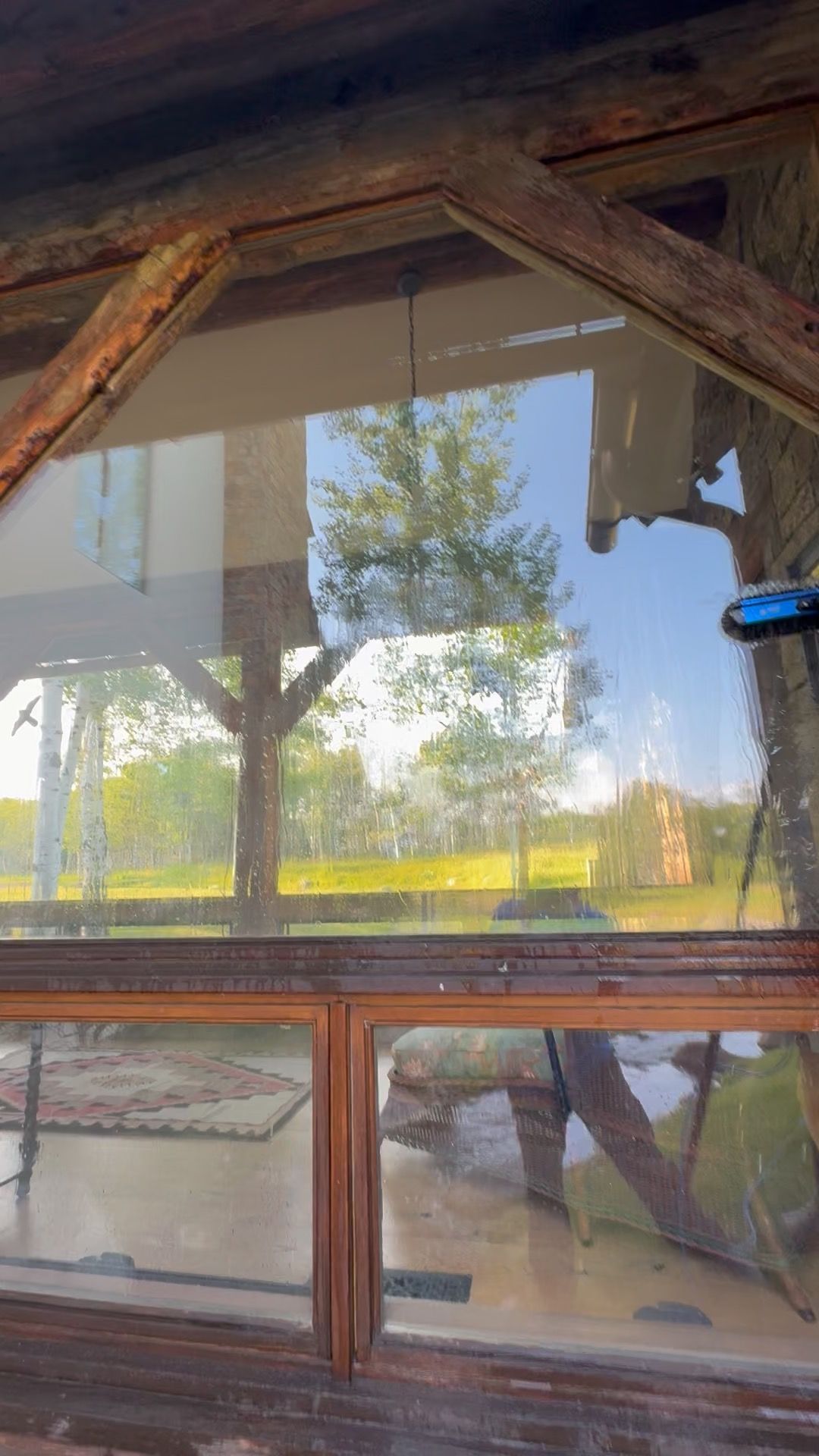 Wood-framed window reflecting a yard with trees and a fence, with a person faintly visible inside