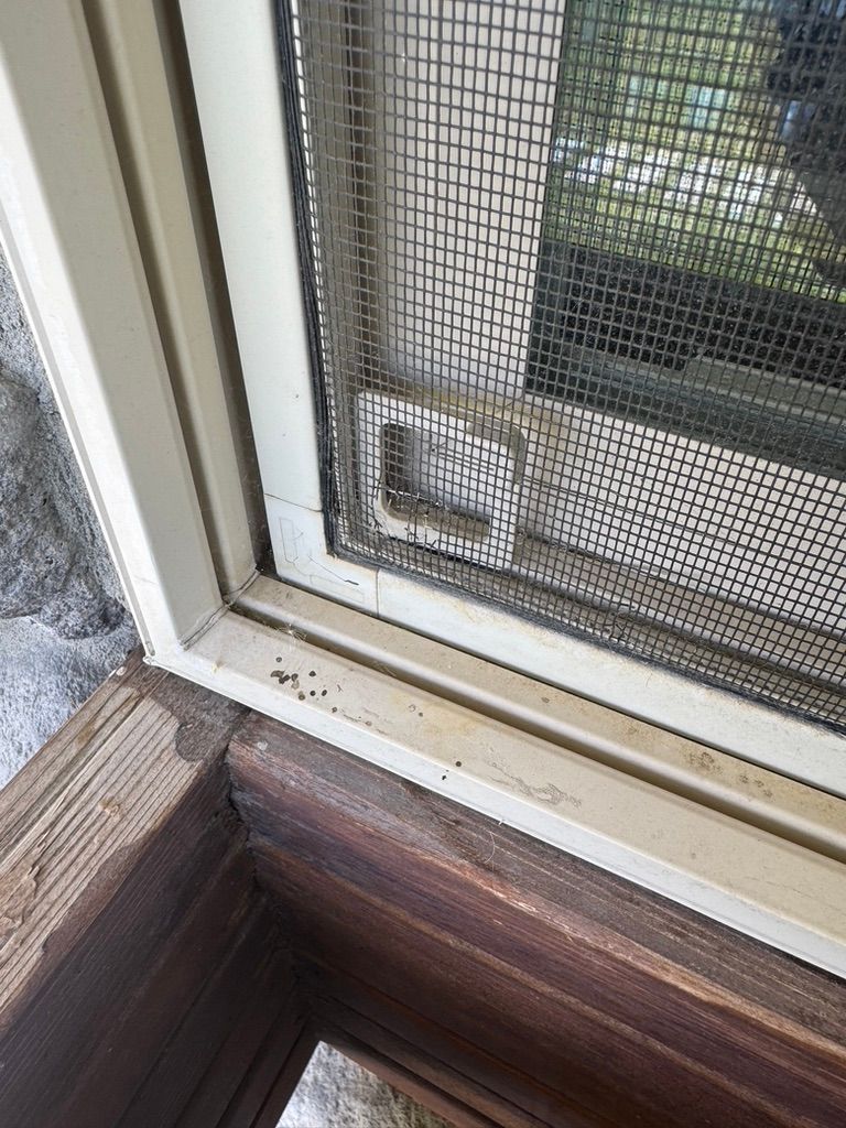 Close-up of a window screen and white frame beside a dark wooden ledge.