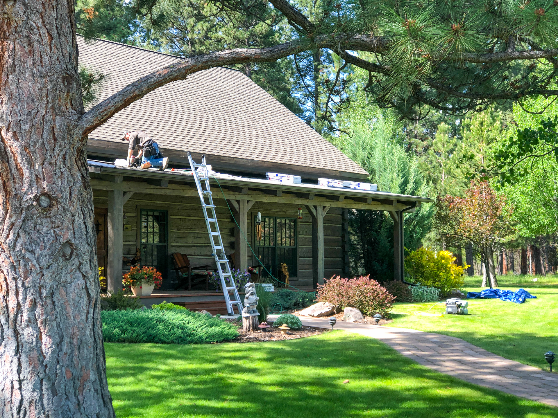 Asphalt shingle roof repair in Lolo, MT