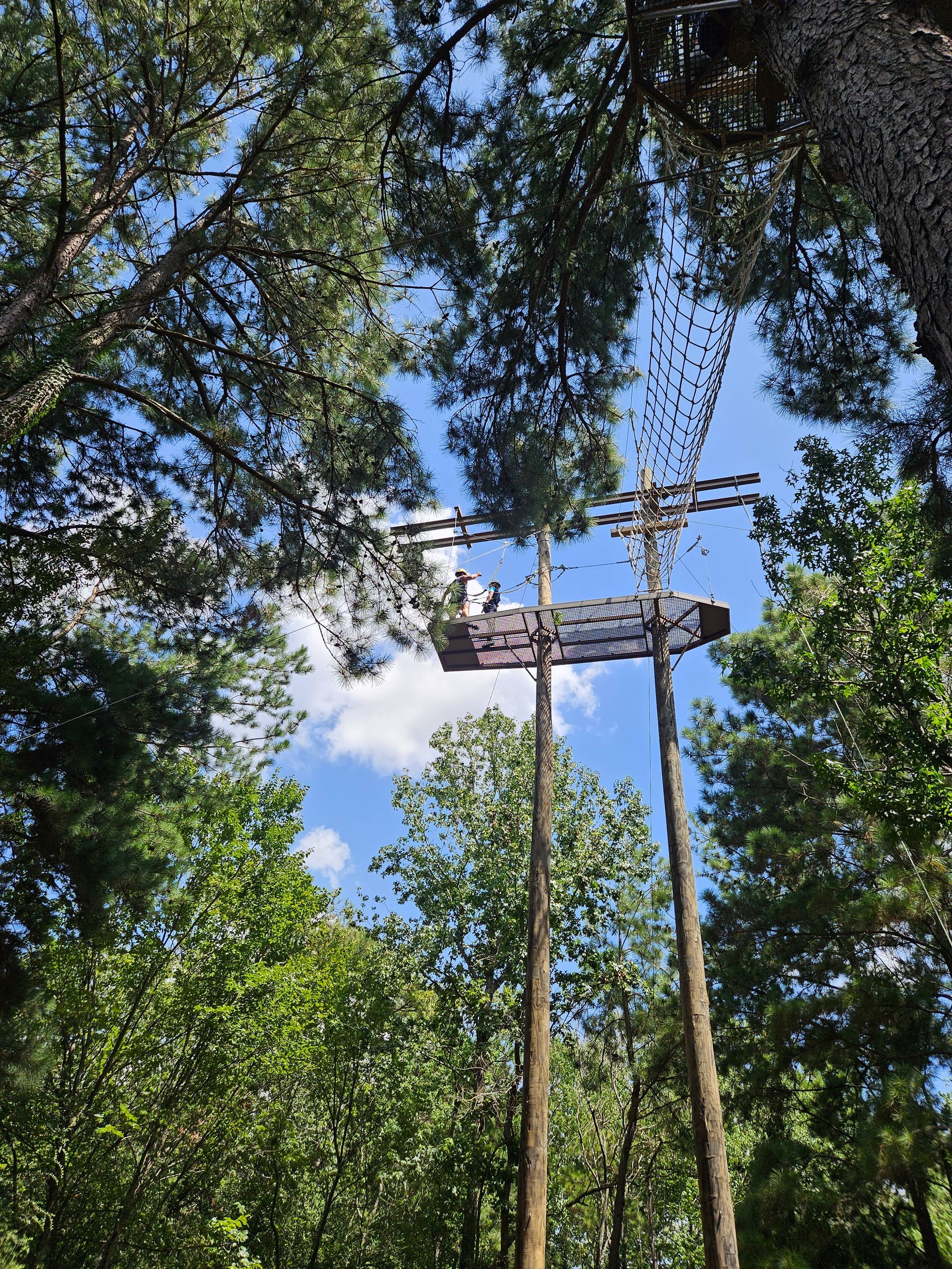 Power lines and utility poles framed by leafy trees against a blue sky with clouds