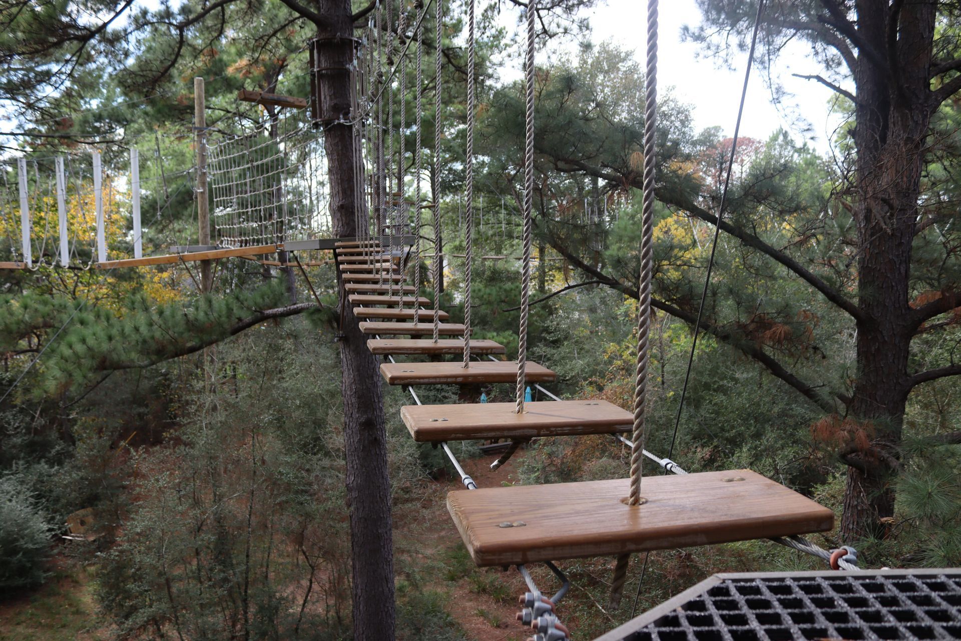 Suspended rope bridge with wooden planks crossing a forest canopy