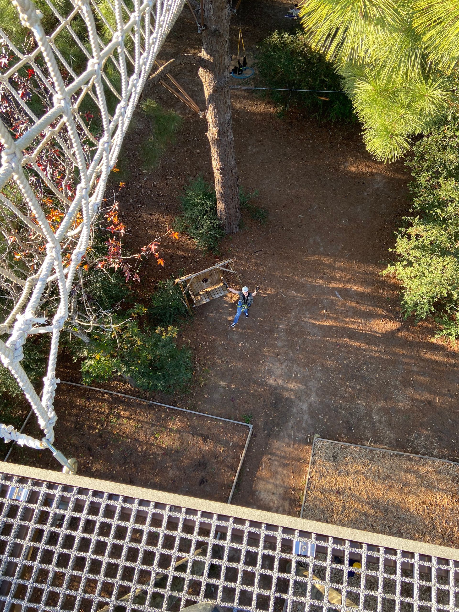Garden path beside a white lattice trellis, with a small blue-and-orange bird on the ground.