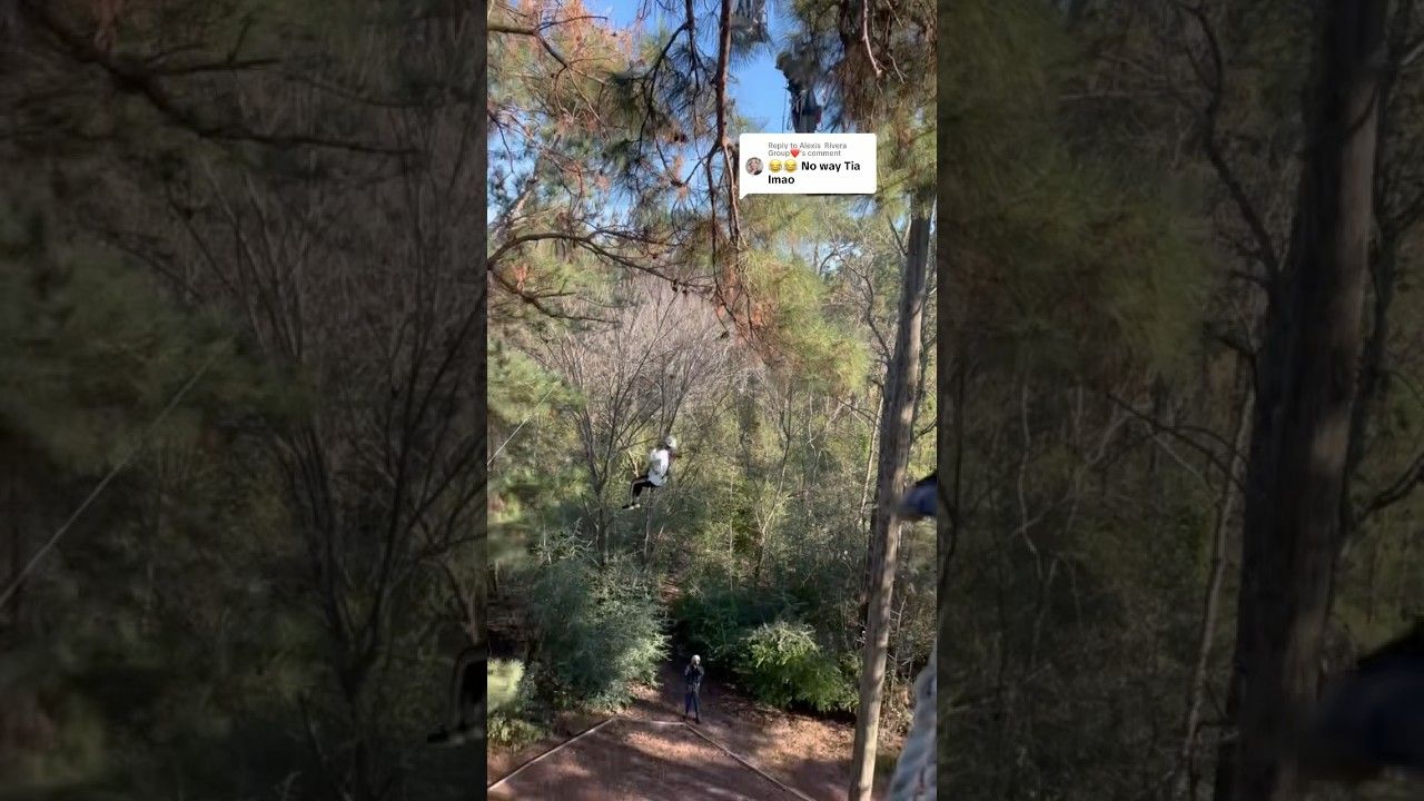 Wooded trail framed by tall trees, with a small sign hanging overhead in the center.
