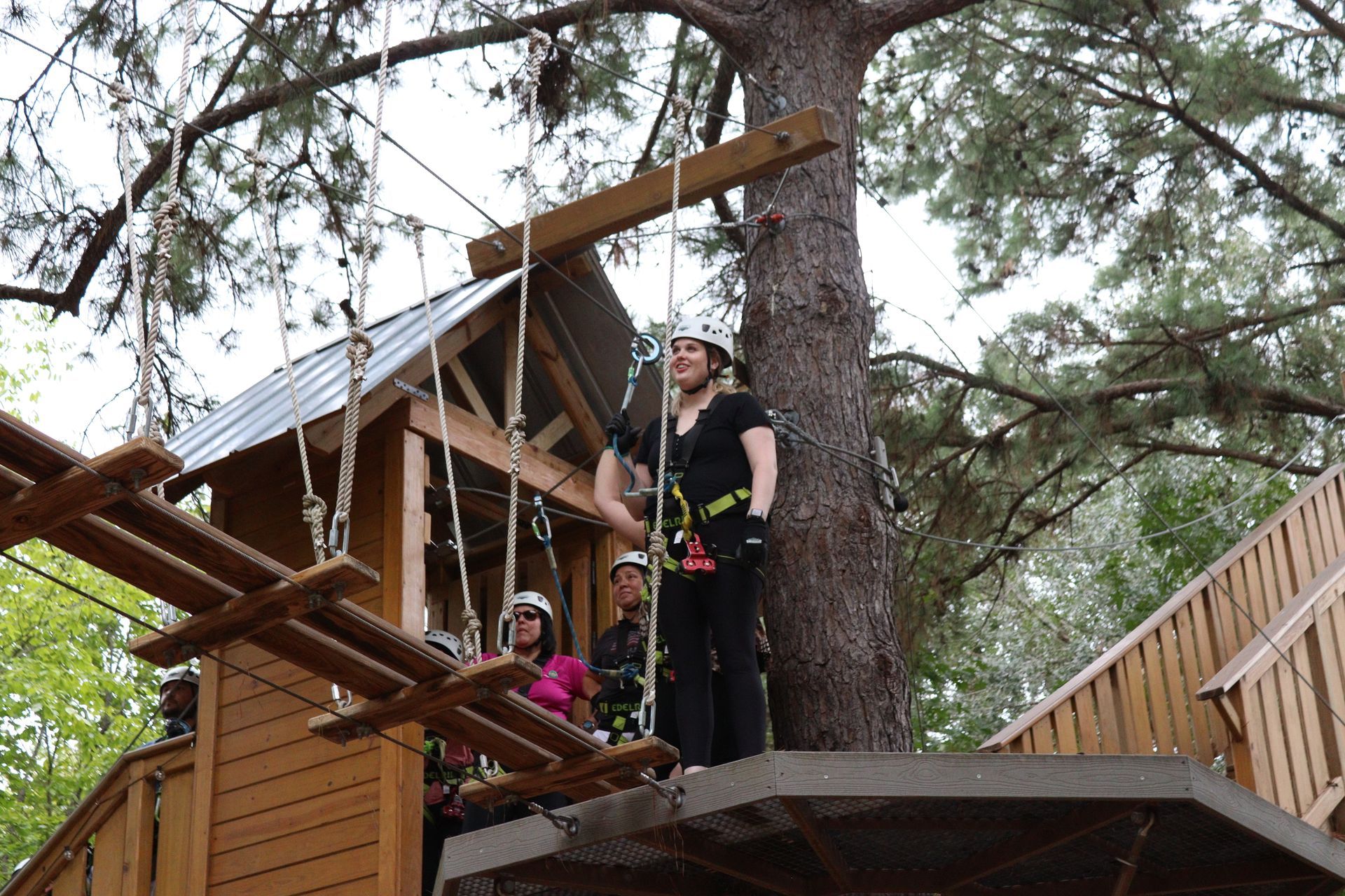 People standing on a wooden treehouse platform beside a large tree and ropes course