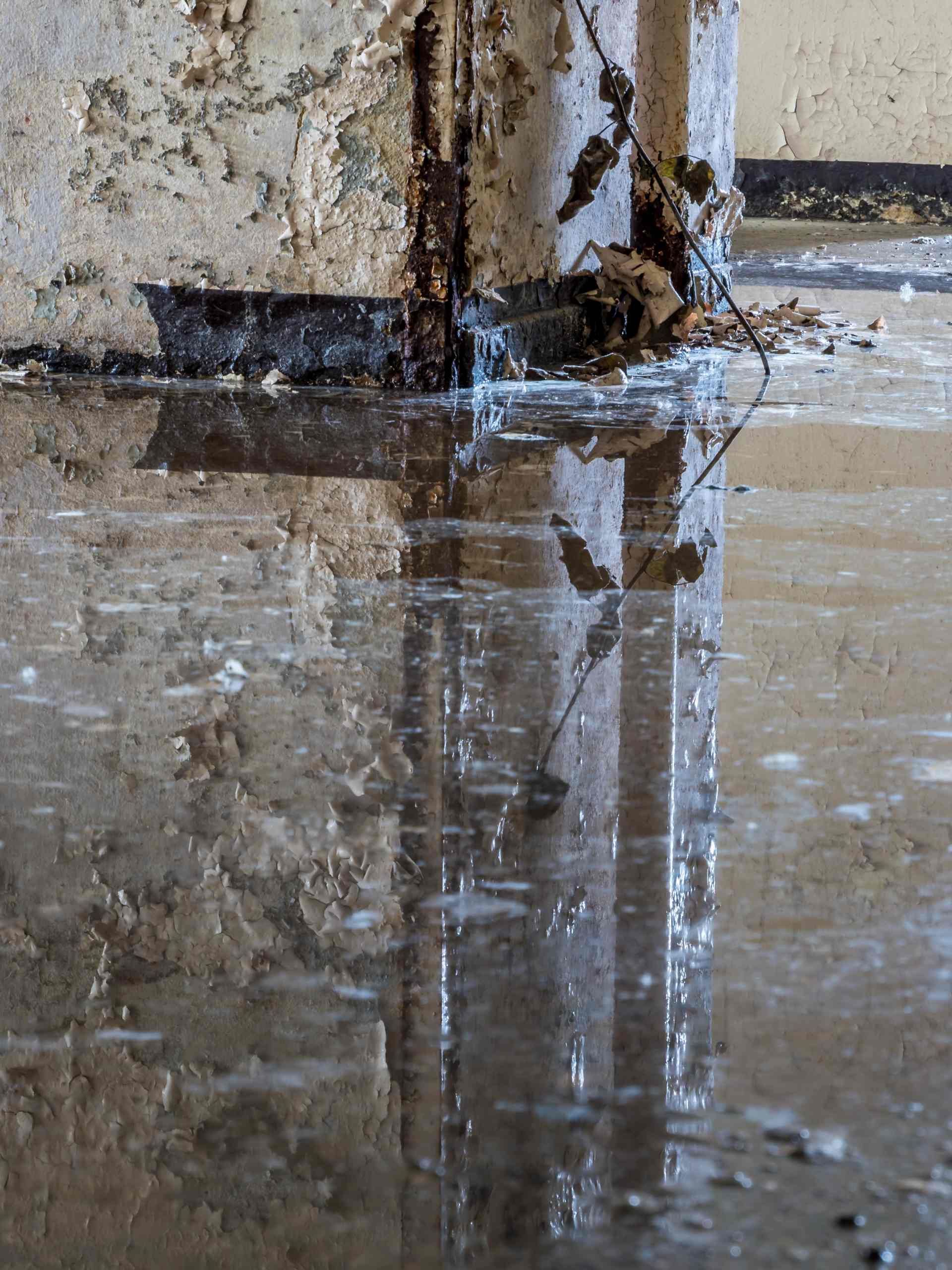 Emergency Flood Damage Services